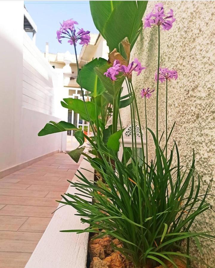 B&B Suites Via Del Mare Presicce Exterior photo